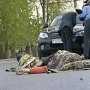 На севере Крыма машина насмерть сбила ребенка