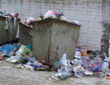 В Севастополе не хватает сил для уборки мусора