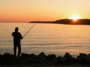 Штрафы за незаконную охоту и рыбалку выросли в пять раз