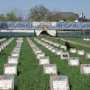 В Крыму благоустроят военные кладбища