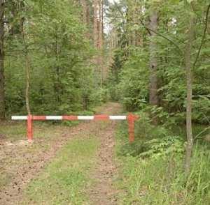 Леса вокруг Севастополя закрыли для посещения