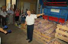 Сельхозкооперативам Крыма предложили создать единую тару для овощей и фруктов