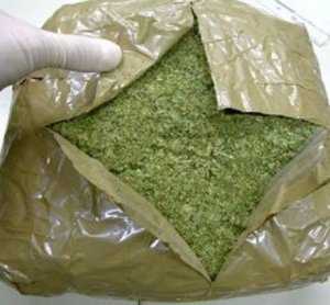 У россиянина на переправе в Керчи нашли пакет с марихуаной
