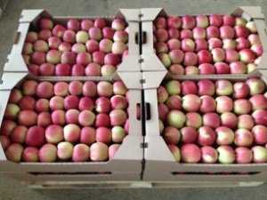 На рынках пока нет крымских яблок
