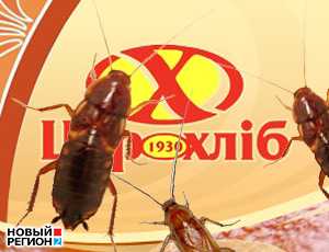 В магазине «Царь-Хлеб» в Севастополе водятся тараканы