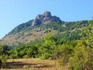 Немецкие туристы неудачно «штурмовали» крымские горы