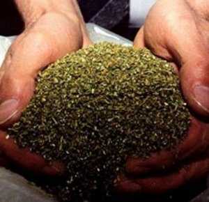 В Джанкое у пьяного водителя мопеда нашли 10 кило марихуаны