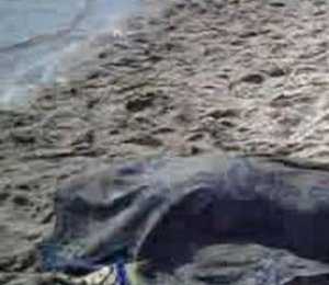 Труп пропавшего в Алуште подводного охотника нашли в километре от берега