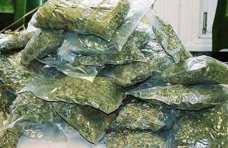 Житель Красноперекопска хранил дома 5 кг марихуаны