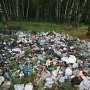 За оставленный в лесу мусор украинцев собираются наказывать штрафом до 510 гривен
