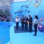 В Алуште открылся Центр дельфинотерапии