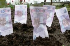 В Крыму аренда земельных паев оплачена на треть