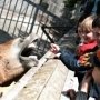 В Бахчисарае детям позволят бесплатно накормить животных в зооуголке