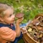В Бахчисарае двухлетний ребенок отравился грибами