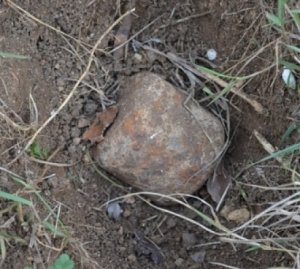 На Сапун-горе в Севастополе подорвали немецкую мину