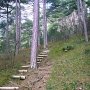 Эколого-просветительские тропы Ялтинского горно-лесного природного заповедника находятся в хорошем состоянии, – Минкурортов АР КРЫМ