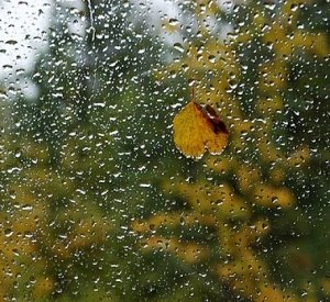 Сегодня в Симферополе возможен сильный дождь