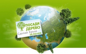 Вдоль крымских дорог высадили 4 километра деревьев