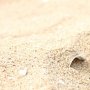Разрешение на добычу песка в морской зоне Севастополя аннулировали