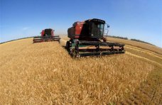В Крыму завершена уборка поздних зерновых