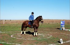 В Феодосии будут развивать конный спорт