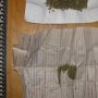 Крымчанин пытался выдать марихуану за лечебные травы