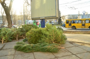 Крымские журналисты поймали продавца с «левыми» елками