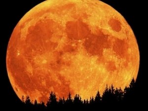 Луна максимально приблизится к Земле 30 января
