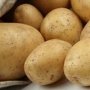 В последнее время приобрести картофель становится все более накладно