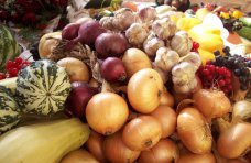Крымским аграриям выделили более 4,7 тыс. льготных торговых мест