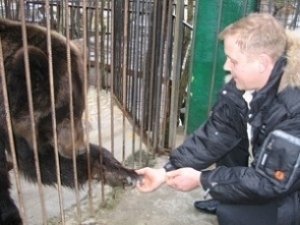 Медведи ищут дом в Крыму