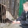 Медведи ищут дом в Крыму