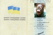 В Крыму мошенник пытался получить кредит по поддельному паспорту