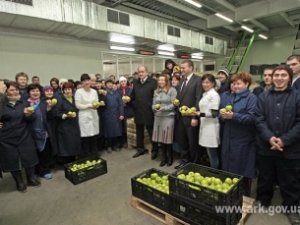 Крымские фрукты востребованы на рынках — Могилёв