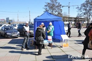 В центре Керчи проводят опрос жителей о судьбе Крыма