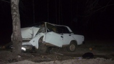 На западе Крыма погиб водитель врезавшейся в дерево машины