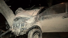 Под Симферополем погиб водитель врезавшейся в дерево машины