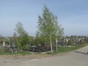 В Столице Крыма в поминальные дни будут бесплатно возить по кладбищу
