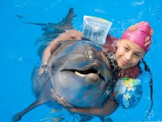 Дельфинарий в Алуште возобновил сеансы дельфинотерапии