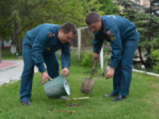 Крымские спасатели высадили 1 тыс. деревьев