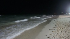 Пляжи Алушты предложили закрывать на ночь