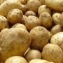 Украинский картофель в Крыму пообещали заменить картофелем из Беларуси