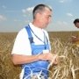 Образование специалистов-аграриев в Крыму признали неполным