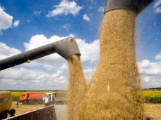 Крым не намерен экспортировать зерно в страны ЕС