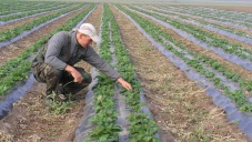 Начинающим фермерам в Крыму предложили возмещать 90% затрат