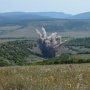 Якорную мину и две авиабомбы подорвали в Севастополе