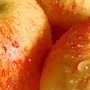 Сегодня в Евпатории откроется ярмарка «Дни яблока»