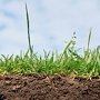 Плодородие крымских почв оценит федеральный агрохимический центр
