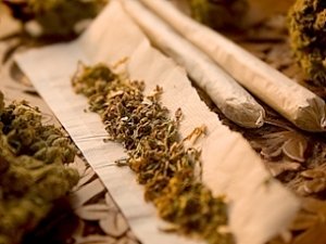 Крымских наркоманов лишили двух тысяч доз марихуаны