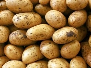 Крым вернул Украине тонну картошки